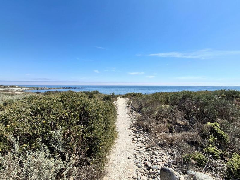 5 Bedroom Property for Sale in Duyker Eiland Western Cape